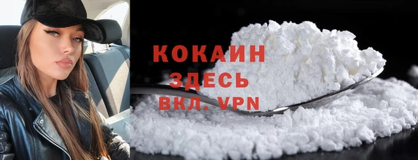 шишки Березники